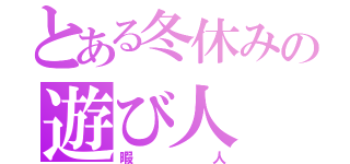 とある冬休みの遊び人（暇人）