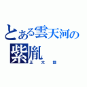 とある雲天河の紫胤（正太控）