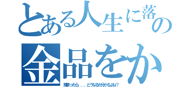 とある人生に落ちこぼれた人の金品をかけたリアル鬼ごっこ（捕まったら．．．どうなるか分かるよね？）