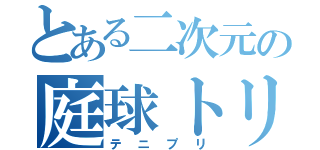 とある二次元の庭球トリップ（テニプリ）