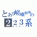 とある嵯峨野線の２２３系（ホリデー）