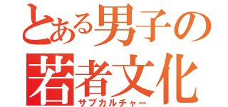 とある男子の若者文化（サブカルチャー）