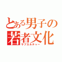 とある男子の若者文化（サブカルチャー）