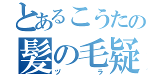 とあるこうたの髪の毛疑惑（ヅラ）