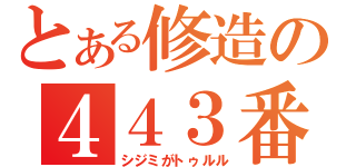 とある修造の４４３番（シジミがトゥルル）