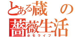 とある蔵の薔薇生活（ホモライフ）