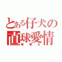 とある仔犬の直球愛情（解雇王）