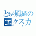 とある風猫のエクスカリバー（小枝）