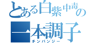 とある白紫中毒の一本調子（チンパンジー）