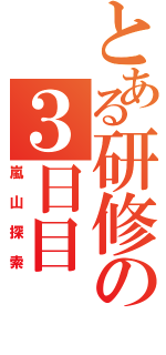 とある研修の３日目（嵐山探索）