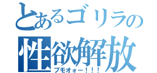 とあるゴリラの性欲解放（ブモオォー！！！）