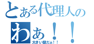 とある代理人のわぁ！！（大きい龍だぁ！！）