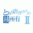 とある唐澤貴洋の核所有Ⅱ（）