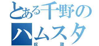 とある千野のハムスター（奴隷）