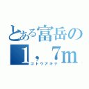 とある富岳の１，７ｍ級（ゴトウアキナ）