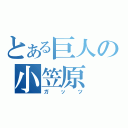 とある巨人の小笠原（ガッツ）