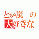 とある嵐の大好きな（啓貴）