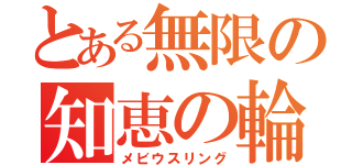 とある無限の知恵の輪（メビウスリング）