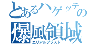 とあるハゲッテの爆風領域（エリアルブラスト）