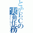 とあるＥＣの実動任務（オペレーション）