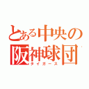 とある中央の阪神球団（タイガース）