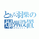 とある羽柴の爆弾設置（コウレイシャ）