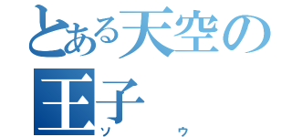 とある天空の王子（ソウ）