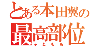 とある本田翼の最高部位（ふともも）