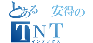 とある 安得のＴＮＴ（インデックス）