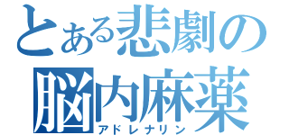 とある悲劇の脳内麻薬（アドレナリン）