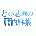 とある悲劇の脳内麻薬（アドレナリン）