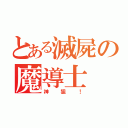 とある滅屍の魔導士（神狙！）