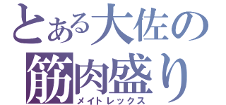 とある大佐の筋肉盛り（メイトレックス）