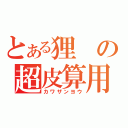 とある狸の超皮算用（カワザンヨウ）