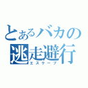 とあるバカの逃走避行（エスケープ）