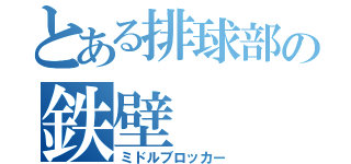 とある排球部の鉄壁（ミドルブロッカー）