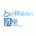 とある排球部の鉄壁（ミドルブロッカー）