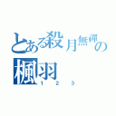 とある殺月無禪の楓羽（１２３）