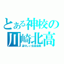 とある神校の川崎北高（凛々しい生徒会長）