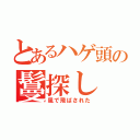 とあるハゲ頭の鬘探し（風で飛ばされた）