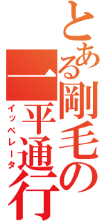 とある剛毛の一平通行（イッペレータ）