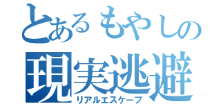 とあるもやしの現実逃避（リアルエスケープ）