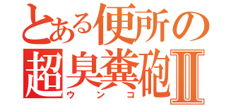 とある便所の超臭糞砲Ⅱ（ウンコ）