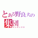 とある野良犬の集団（インデックス）