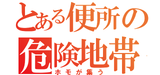 とある便所の危険地帯（ホモが集う）