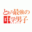 とある最強の中学男子（ただのバカ）