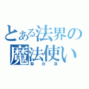 とある法界の魔法使い（聖白蓮）