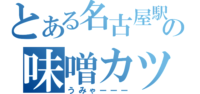 とある名古屋駅の味噌カツ（うみゃーーー）