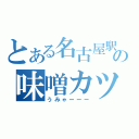 とある名古屋駅の味噌カツ（うみゃーーー）