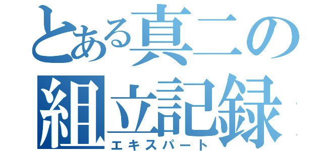 とある真二の組立記録（エキスパート）